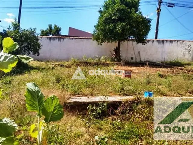 Casa com 462m² 1 quarto e 1 banheiro, à venda, no bairro Chapada em Ponta Grossa