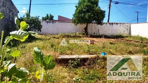 Casa, 1 quarto, 97 m² - Foto 4