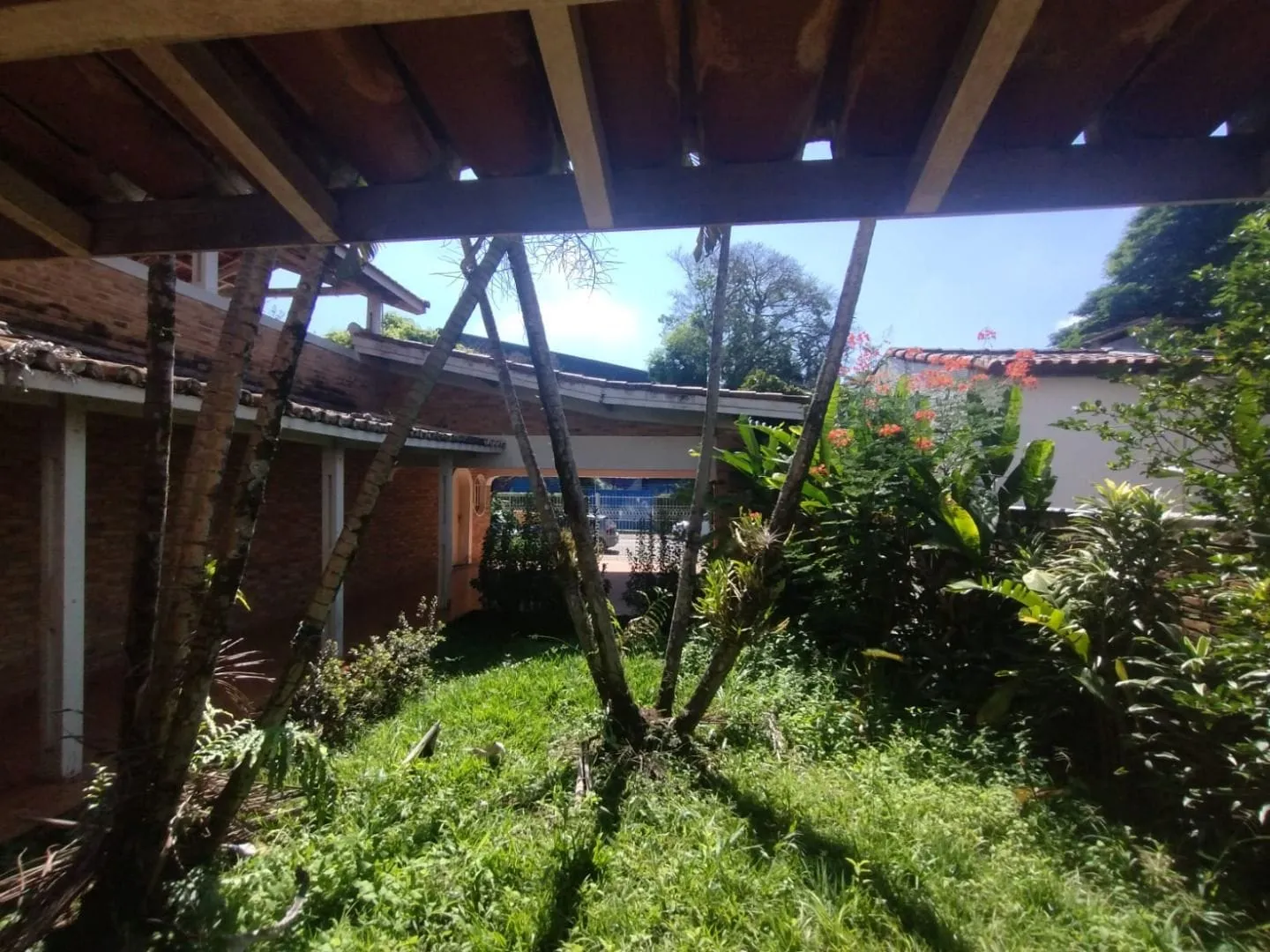 Casa, 4 quartos, 393 m² - Foto 154
