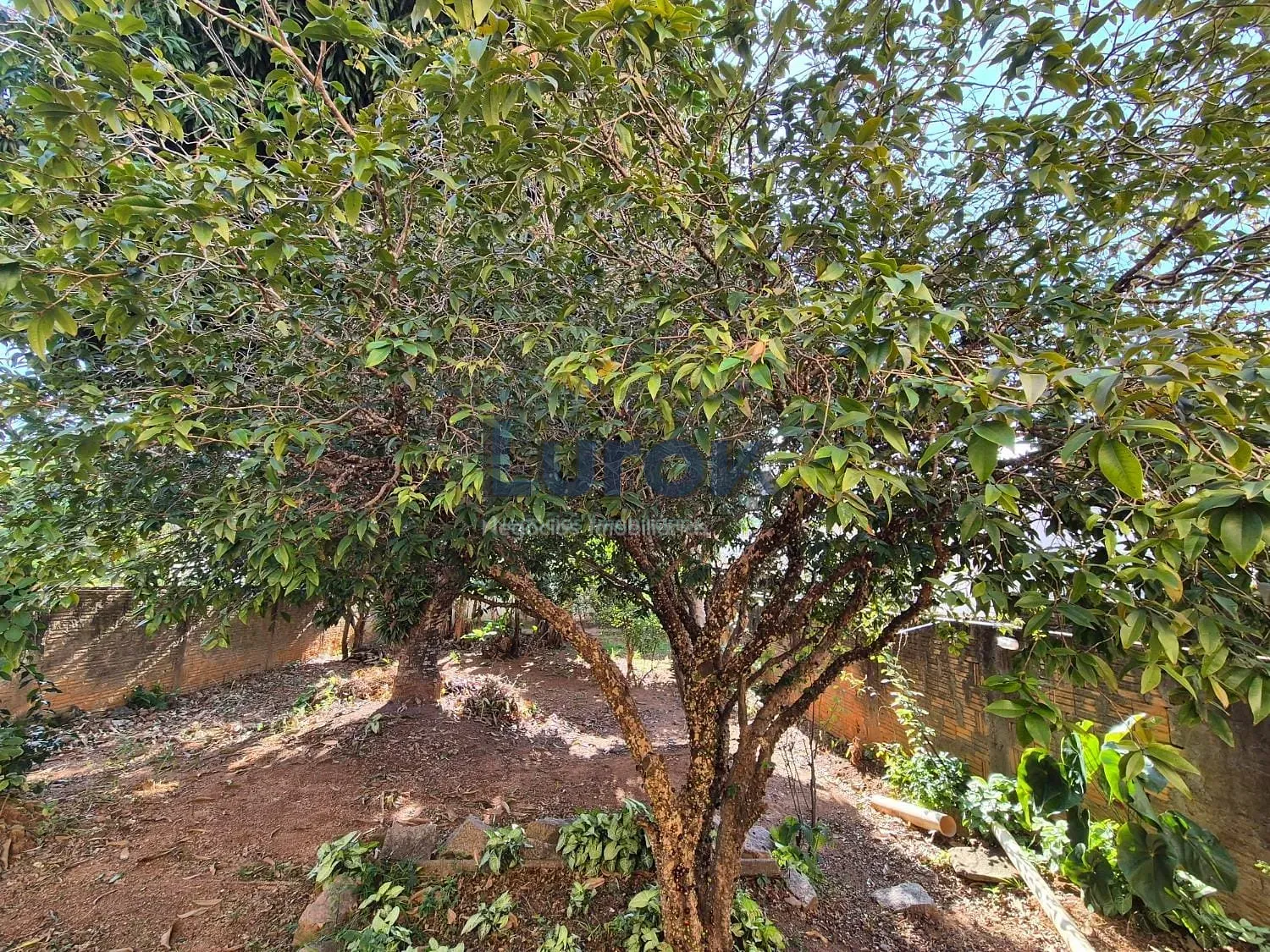 Casa, 3 quartos, 166 m² - Foto 20