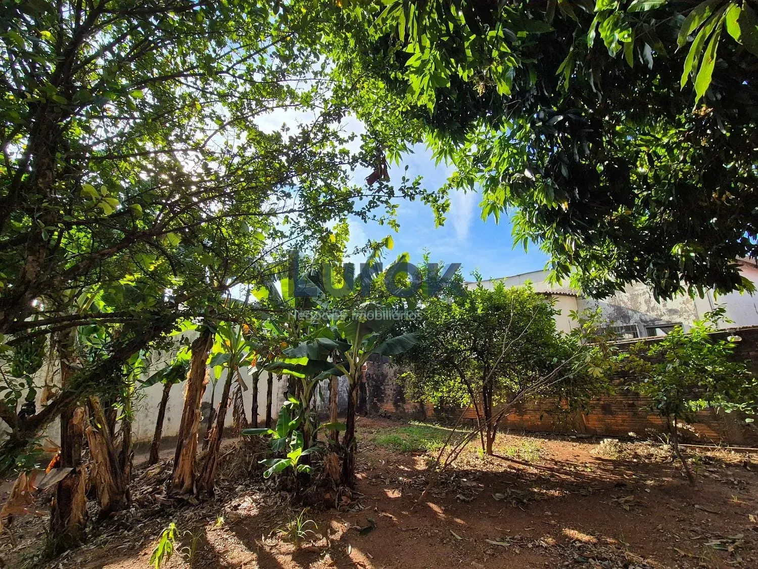 Casa, 3 quartos, 166 m² - Foto 17
