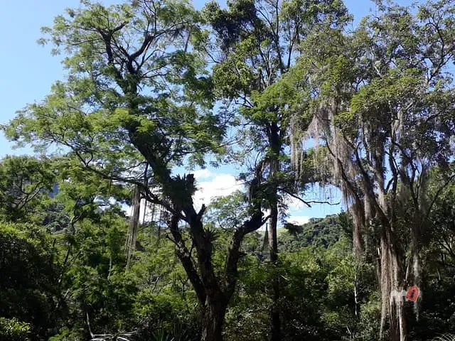 Casa com 3600m² 1 quarto e 1 banheiro, à venda, no bairro Corrêas em Petrópolis
