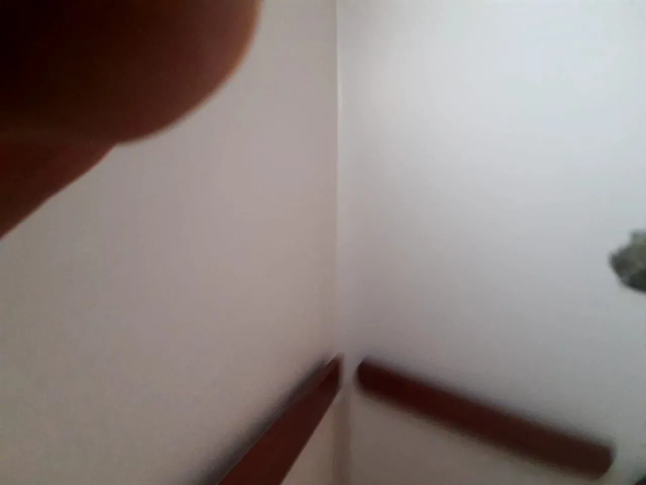Casa, 4 quartos, 280 m² - Foto 58