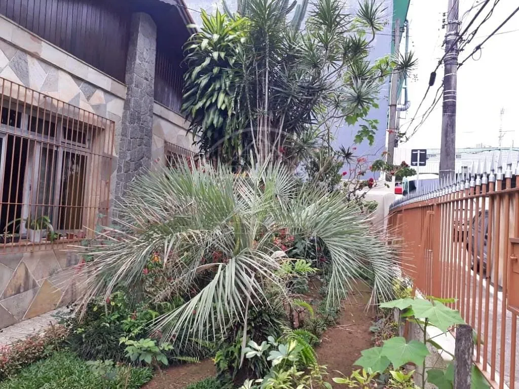 Casa, 3 quartos, 250 m² - Foto 15