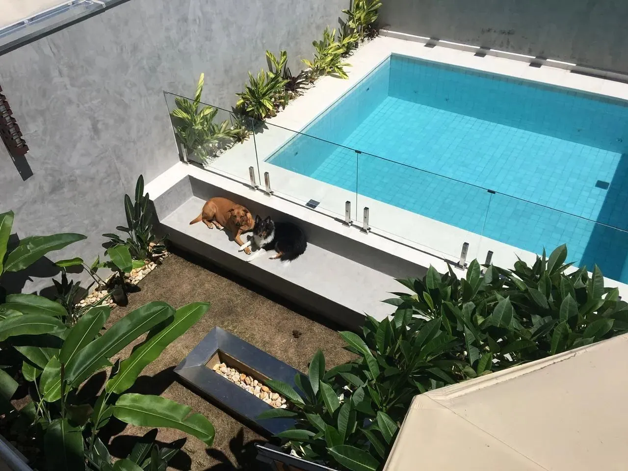 Casa, 3 quartos, 204 m² - Foto 23