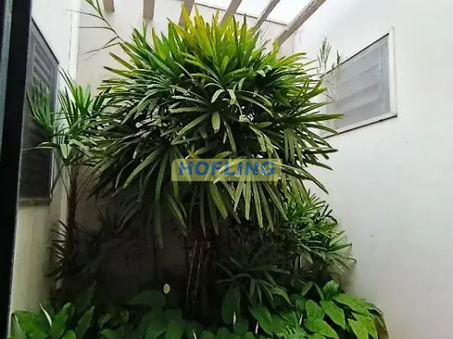 Casa com 295m² 3 quartos e 1 banheiro, à venda, no bairro Consolação em Rio Claro