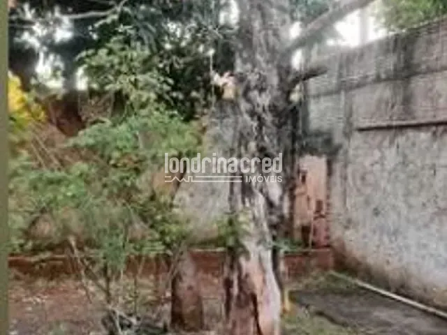 Casa com 300m² 2 quartos e 1 banheiro, à venda, no bairro Vila Romana em Ibiporã