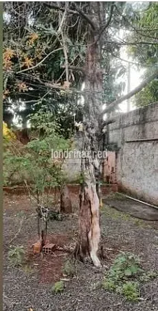 Casa, 2 quartos, 65 m² - Foto 3