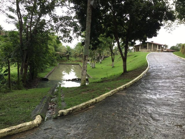 Casa com 7000m² 3 quartos e 6 banheiros, à venda, no bairro Fernão Velho em Maceió
