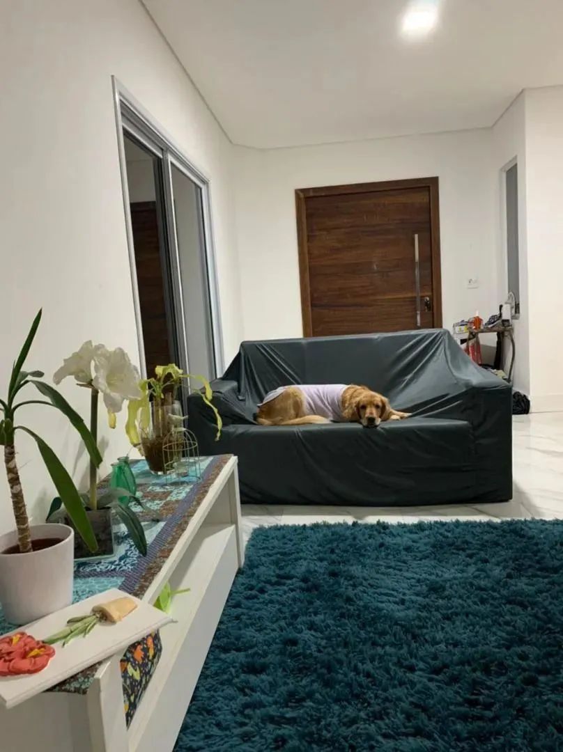 Casa, 3 quartos, 235 m² - Foto 14