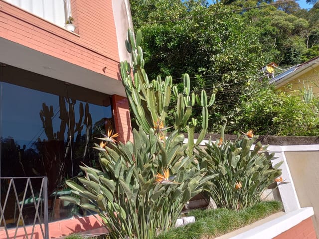 Casa com 320m² 3 quartos e 1 banheiro, à venda, no bairro Quarteirão Brasileiro em Petrópolis