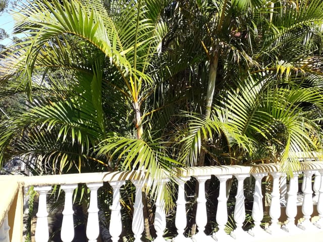 Casa com 3880m² 3 quartos e 1 banheiro, à venda, no bairro Castelanea em Petrópolis