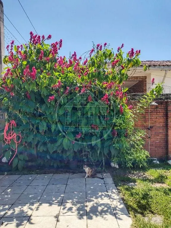 Casa, 2 quartos, 148 m² - Foto 47