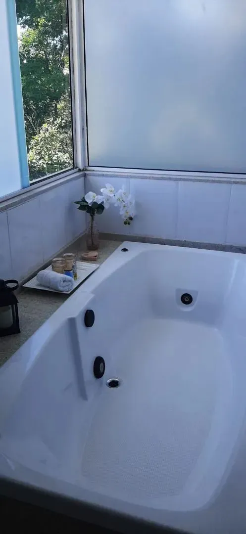 Casa, 5 quartos, 300 m² - Foto 47