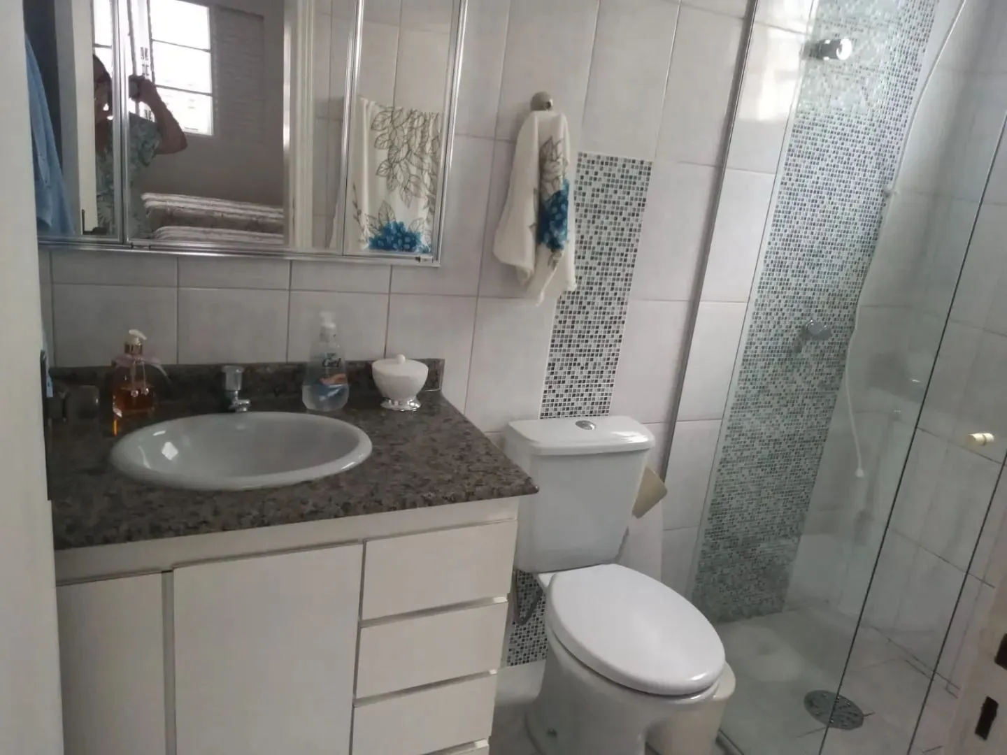 Casa, 4 quartos, 300 m² - Foto 5