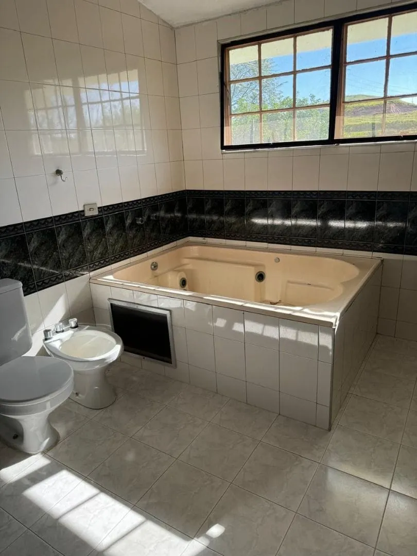 Casa, 4 quartos, 290 m² - Foto 16