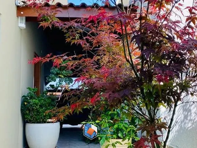 Casa com 320m² 3 quartos e 5 banheiros, à venda, no bairro Planalto Paulista em São Paulo