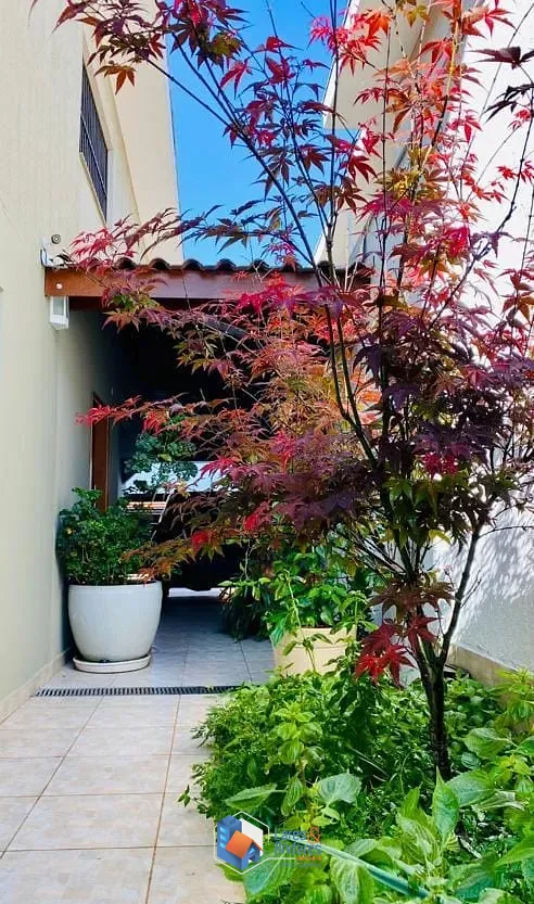 Casa, 3 quartos, 320 m² - Foto 4