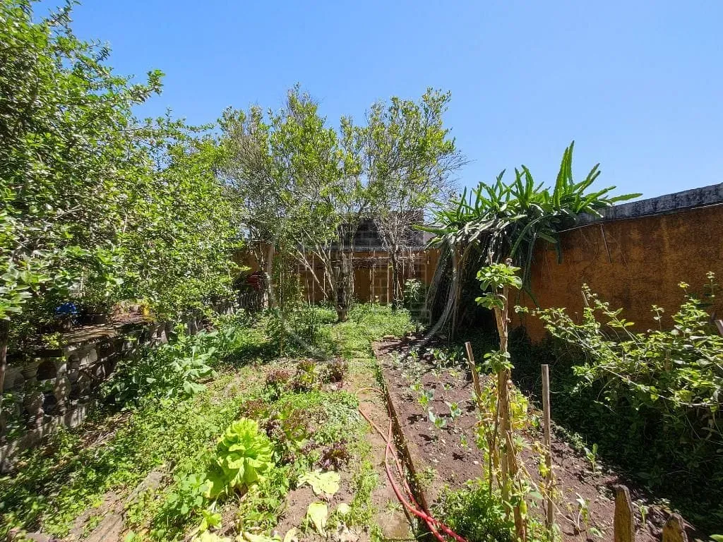 Casa, 4 quartos, 248 m² - Foto 12
