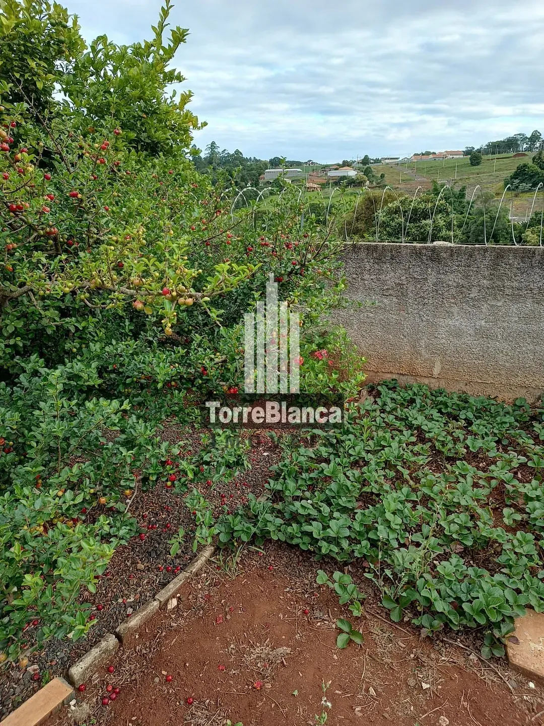 Casa, 2 quartos, 111 m² - Foto 26