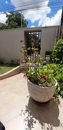 Casa, 3 quartos, 10 m² - Foto 11