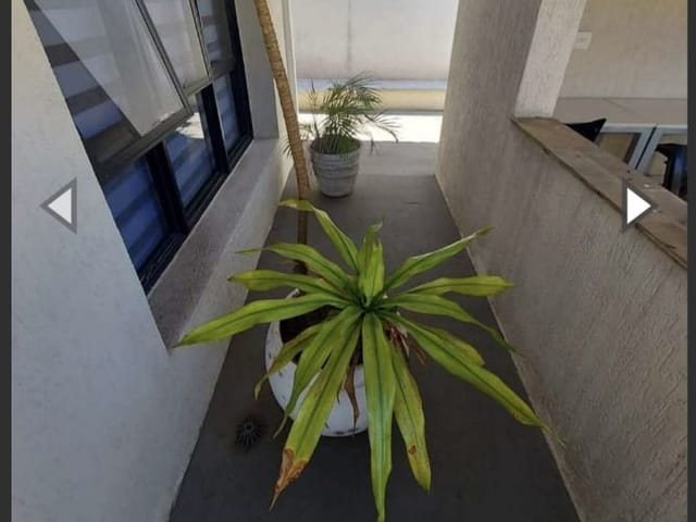 Foto do Casa - Casa para alugar, 49387 m² por R$ 31.983,33/mês - Vila Clementino - São Paulo/SP | ZONA LESTE IMÓVEIS