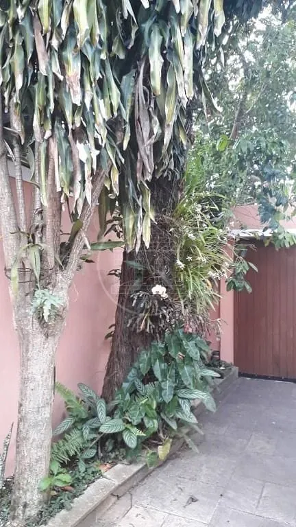 Casa, 4 quartos, 325 m² - Foto 35