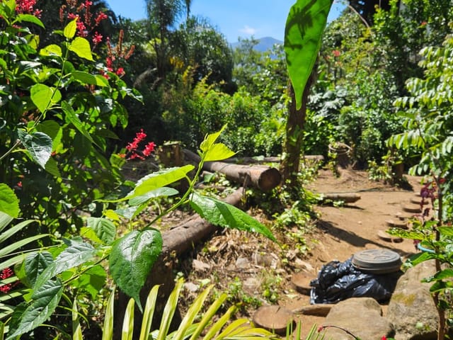 Casa com 3800m² 4 quartos e 2 banheiros, à venda, no bairro Retiro em Petrópolis