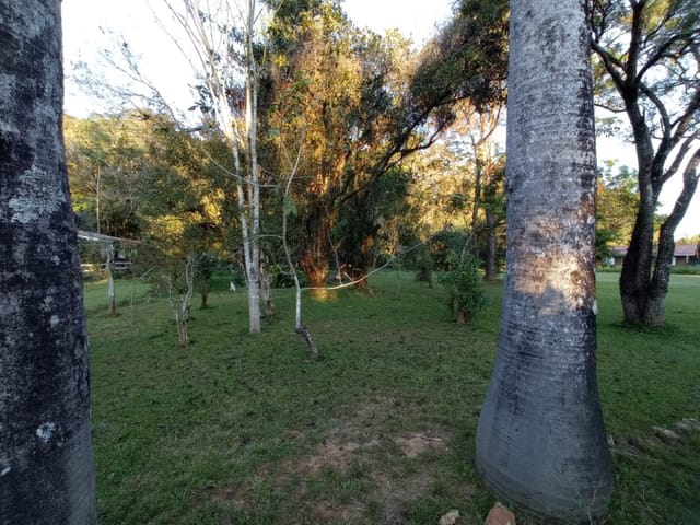 Foto do Terreno - Terreno residencial para venda em Vila Martins, 3,010m² | Lares e Andares Imóveis