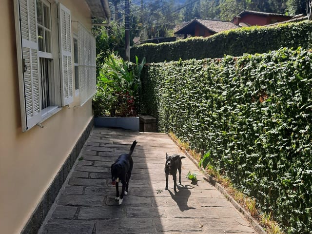 Casa 3 quartos e 3 banheiros, à venda, no bairro Fazenda Inglesa em Petrópolis