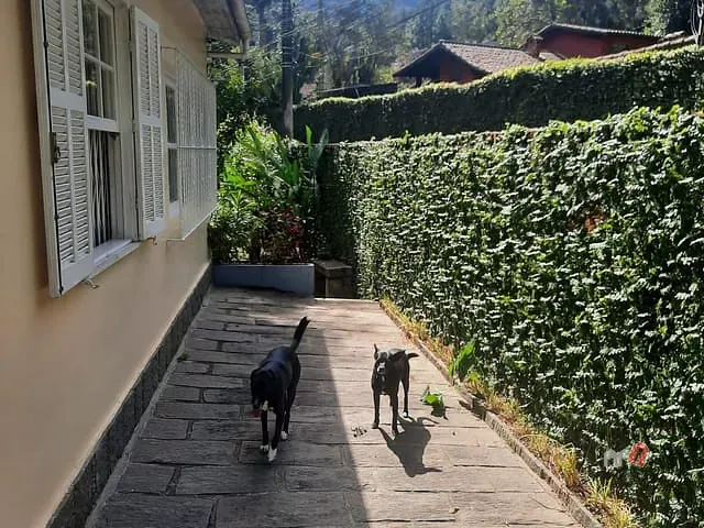Casa 3 quartos e 3 banheiros, à venda, no bairro Fazenda Inglesa em Petrópolis