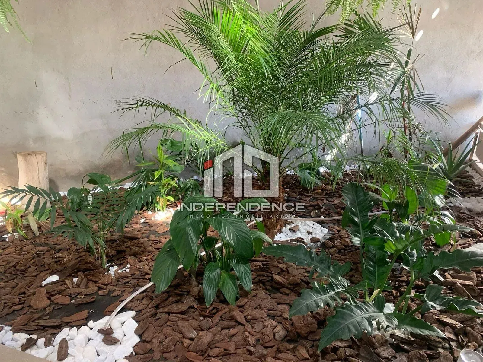 Casa, 3 quartos, 90 m² - Foto 25