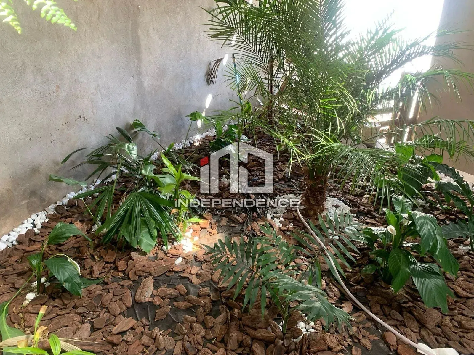 Casa, 3 quartos, 90 m² - Foto 28