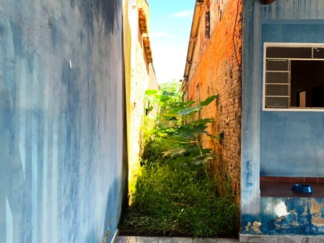 Casa com 250m² 2 quartos e 1 banheiro, à venda, no bairro Conjunto Residencial Araretama em Pindamonhangaba