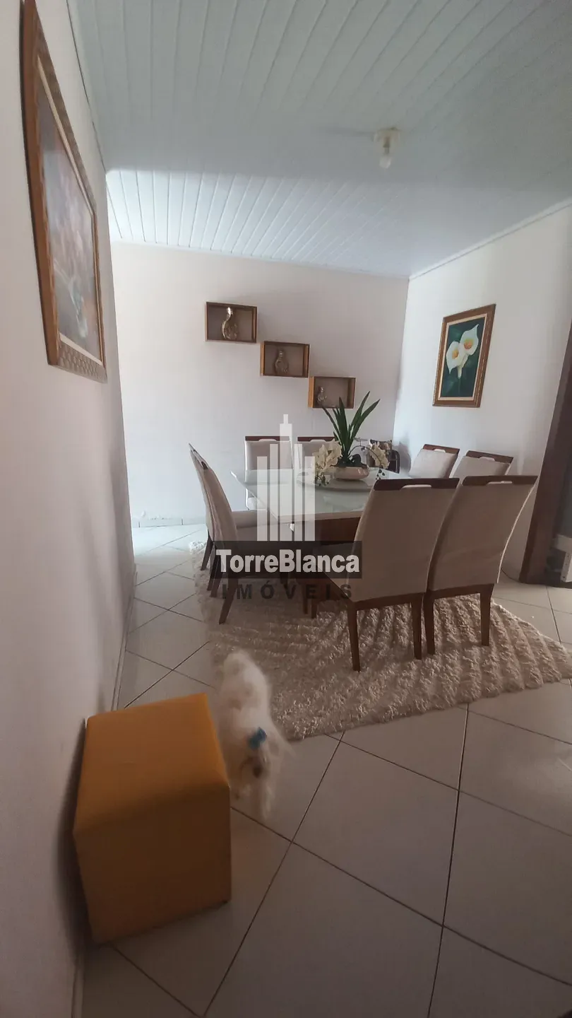 Casa, 4 quartos, 250 m² - Foto 6