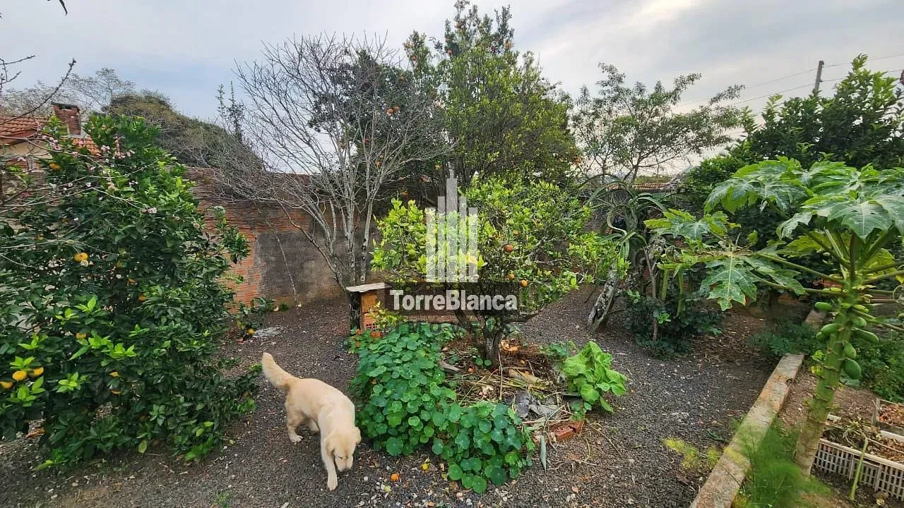 Casa, 3 quartos, 180 m² - Foto 29