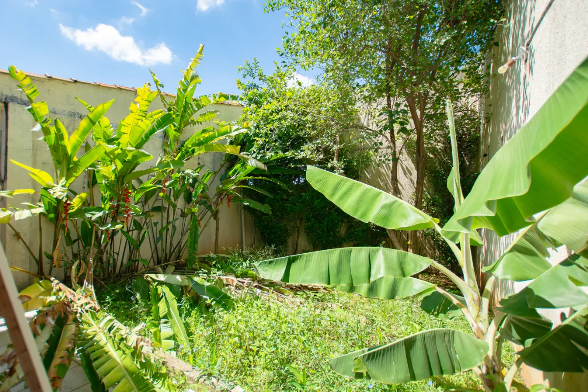 Casa para venda em Vila Madalena com 5 quartos, sendo 1 suíte, 253m²