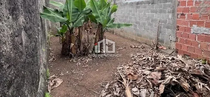 Casa, 4 quartos, 300 m² - Foto 21