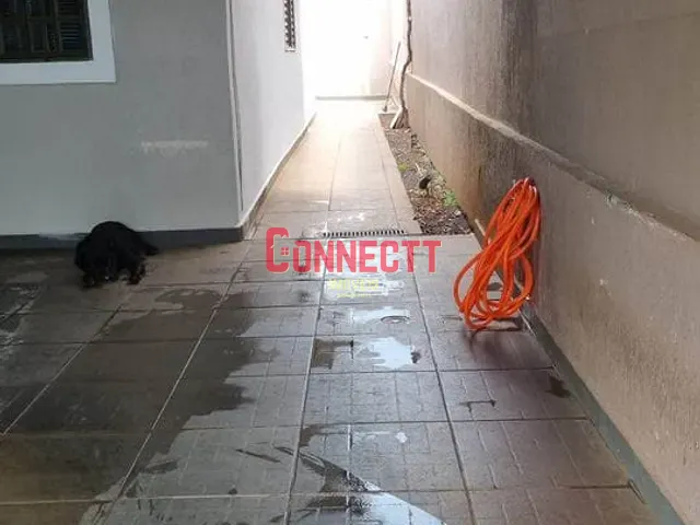 Casa com 200m² 3 quartos e 2 banheiros, à venda, no bairro Jardim Paiva em Ribeirão Preto