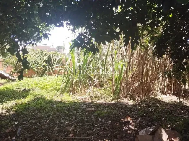 Casa com 645m² 3 quartos e 2 banheiros, à venda, no bairro Jardim Colúmbia I em Arapongas