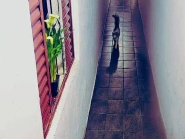 Casa com 125m² 4 quartos e 3 banheiros, à venda, no bairro Jardim Suina em Taboão da Serra
