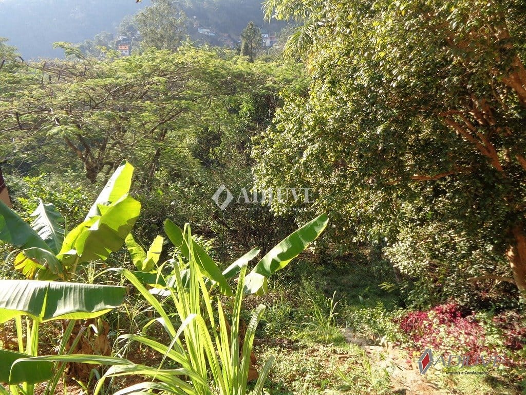 Casa à venda com 4 quartos, 250m² - Foto 8
