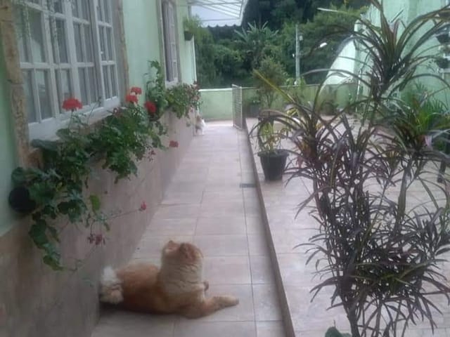 Casa 2 quartos e 1 banheiro, à venda, no bairro Centro em Petrópolis