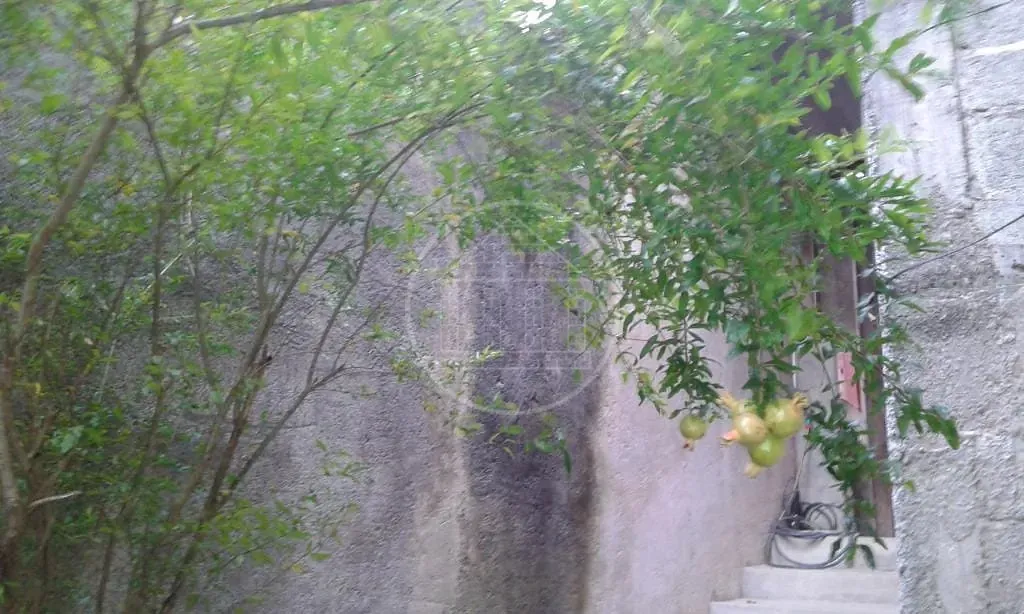 Casa, 3 quartos, 160 m² - Foto 22