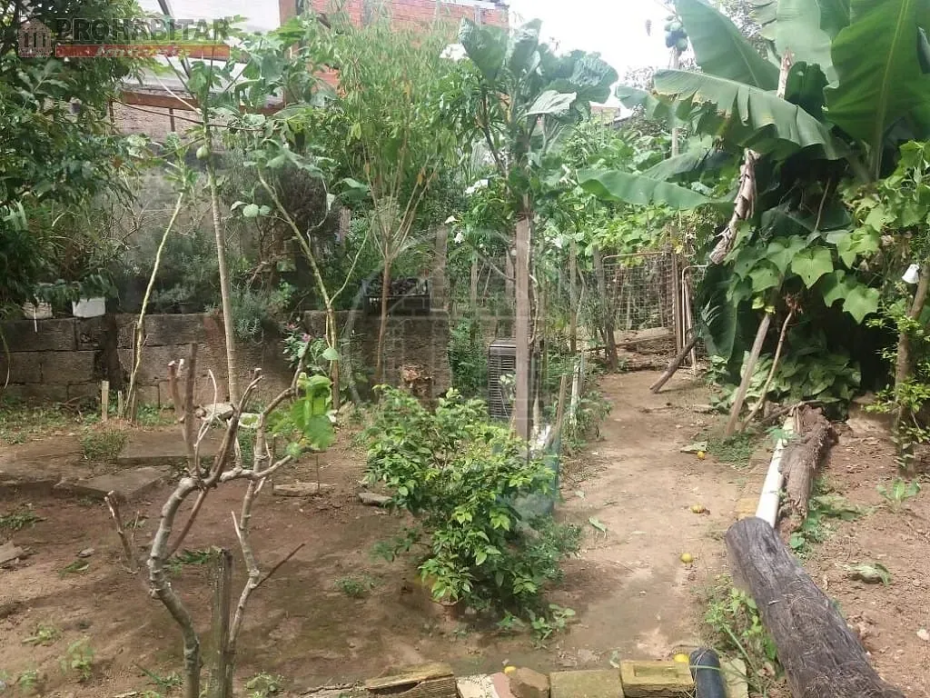 Casa, 3 quartos, 438 m² - Foto 29