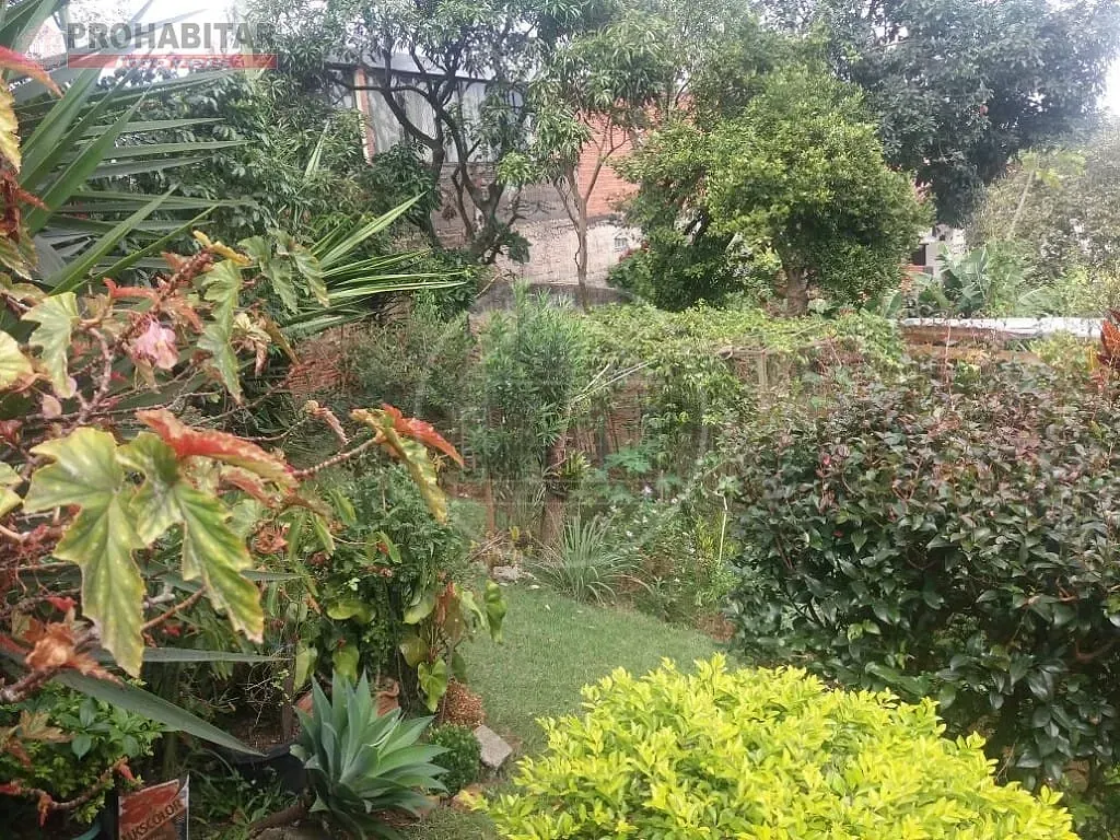 Casa, 3 quartos, 438 m² - Foto 30