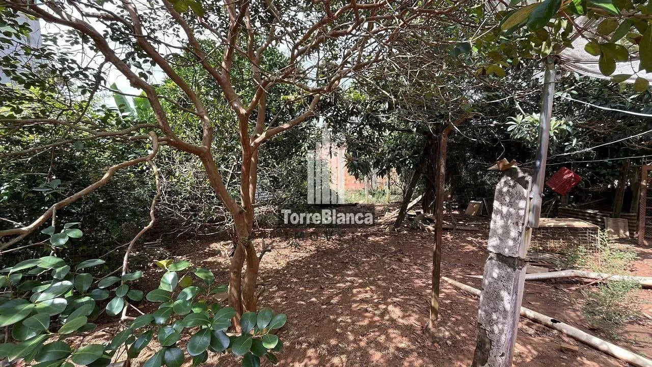 Casa, 4 quartos, 120 m² - Foto 25