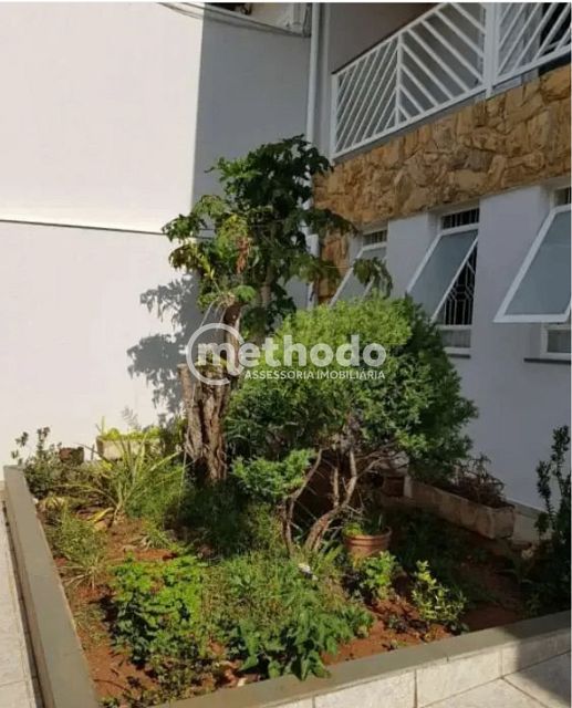 Casa, 4 quartos, 325 m² - Foto 26