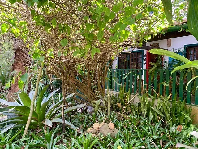 Casa com 2546m² 3 quartos e 5 banheiros, para alugar, no bairro Samambaia em Petrópolis