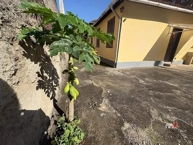 Casa com 500m² 3 quartos e 2 banheiros, à venda, no bairro Valparaíso em Petrópolis